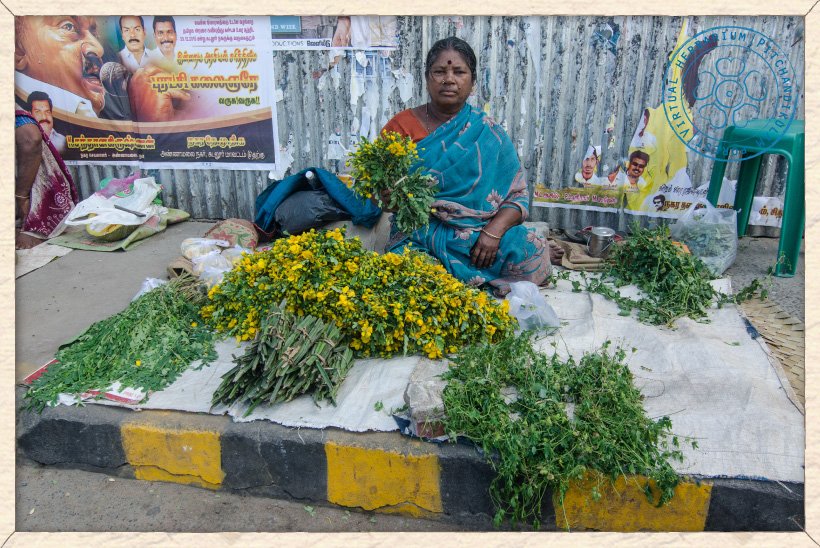 Market stall of medicinal plants in Thanjavuru with bundles of Senna siamea flowers and leaves